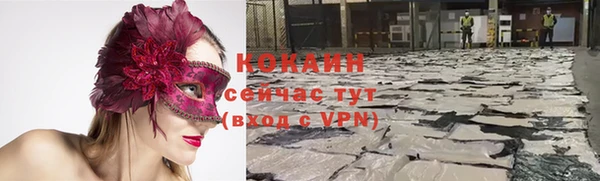крисы Беломорск