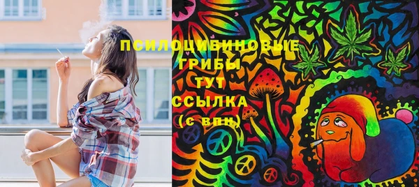 крисы Беломорск