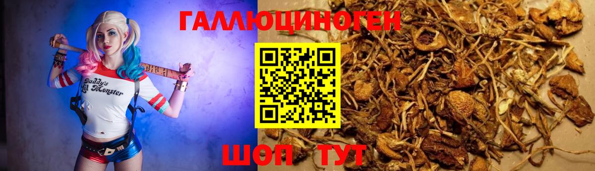 Псилоцибиновые грибы мицелий Верхняя Пышма